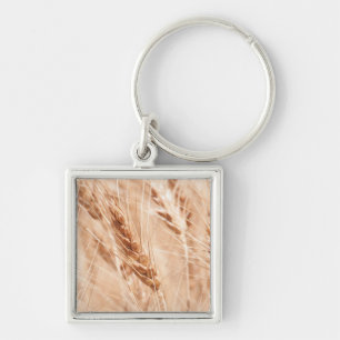 USA, Kansas, Wheat At Harvest Time Key Ring
