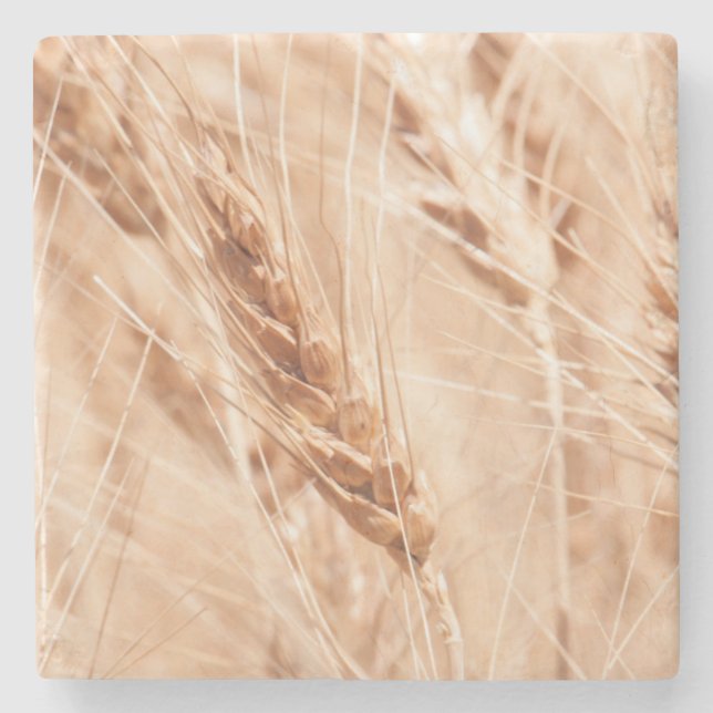 USA, Kansas, Wheat At Harvest Time Stone Coaster (Front)