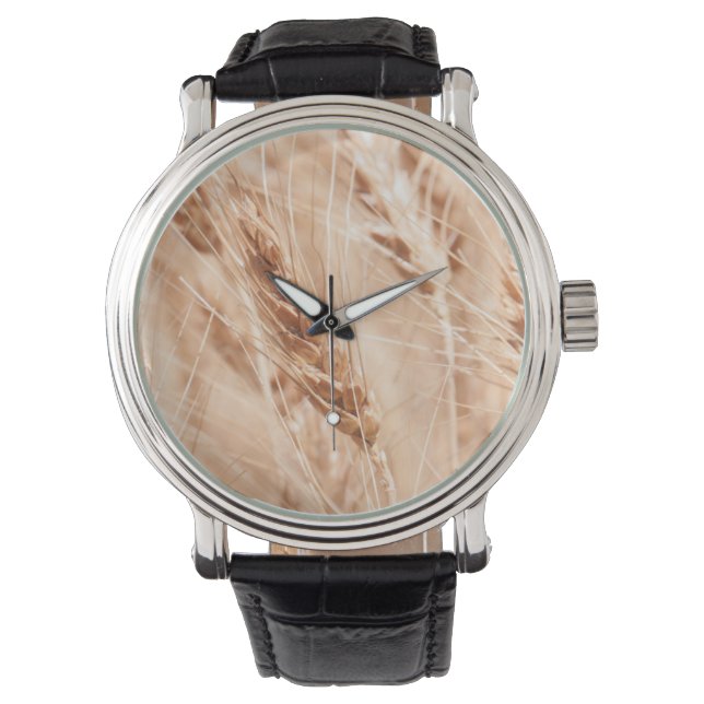 USA, Kansas, Wheat At Harvest Time Watch (Front)