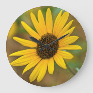 USA, Kansas. Wild Sunflower Large Clock
