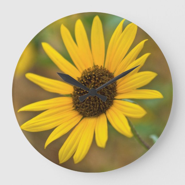 USA, Kansas. Wild Sunflower Large Clock (Front)