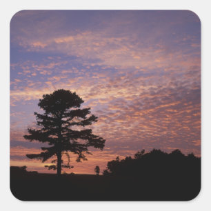 USA, Kentucky, Cumberland Gap National Square Sticker