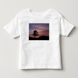 USA, Kentucky, Cumberland Gap National Toddler T-Shirt