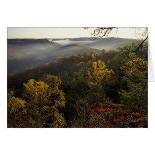 USA, Kentucky. Daniel Boone National Forest.