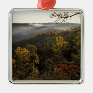 USA, Kentucky. Daniel Boone National Forest. Metal Ornament