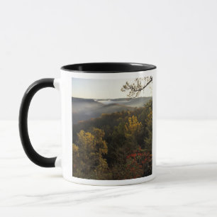USA, Kentucky. Daniel Boone National Forest. Mug