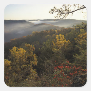 USA, Kentucky. Daniel Boone National Forest. Square Sticker