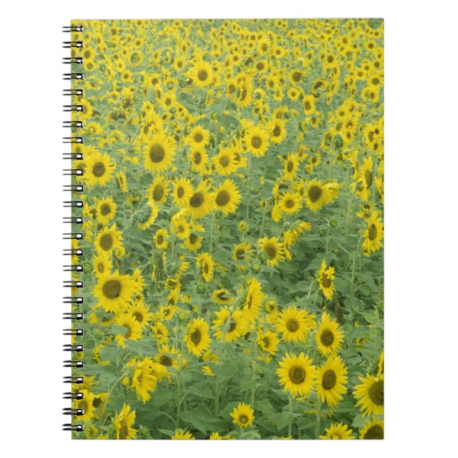USA, Kentucky, Fayette County Pattern in field Notebook (Front)