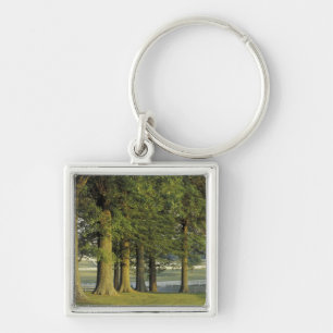 USA, Kentucky, Lexington. Row of trees and Key Ring