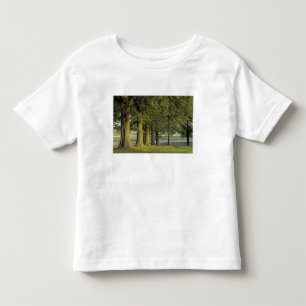 USA, Kentucky, Lexington. Row of trees and Toddler T-Shirt