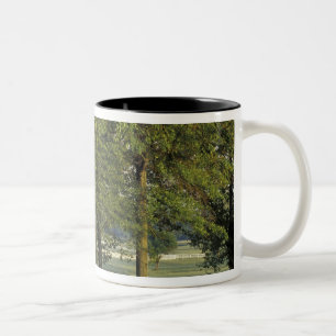 USA, Kentucky, Lexington. Row of trees and Two-Tone Coffee Mug