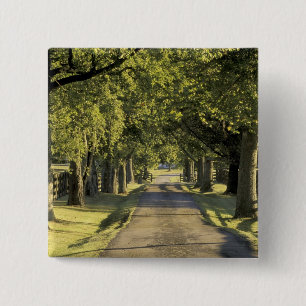 USA, Kentucky, Lexington. Tree-lined driveway, 15 Cm Square Badge