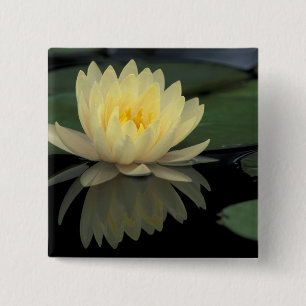 USA, Kentucky, Louisville Domestic water lily, 15 Cm Square Badge