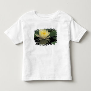 USA, Kentucky, Louisville Domestic water lily, Toddler T-Shirt