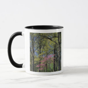 USA, Kentucky, Louisville. Eastern Redbud Mug