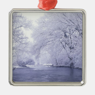 USA, Kentucky, Louisville. Snow covered Metal Ornament