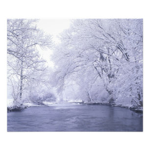 USA, Kentucky, Louisville. Snow covered Photo Print