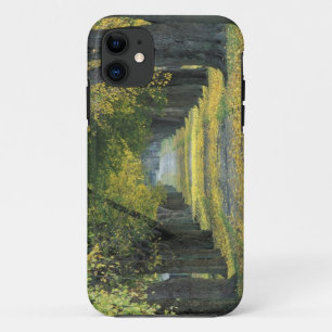 USA, Kentucky, Louisville. Tree-lined road in iPhone 11 Case