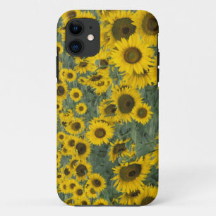 USA, Kentucky Pattern in field of cultivated iPhone 11 Case