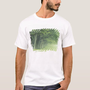 USA, Kentucky. Row of trees in spring T-Shirt