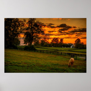 USA, Lexington, Kentucky. Lone horse at sunset 1 Poster