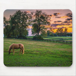 USA, Lexington, Kentucky. Lone horse at sunset Mouse Pad
