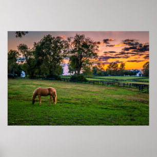 USA, Lexington, Kentucky. Lone horse at sunset Poster