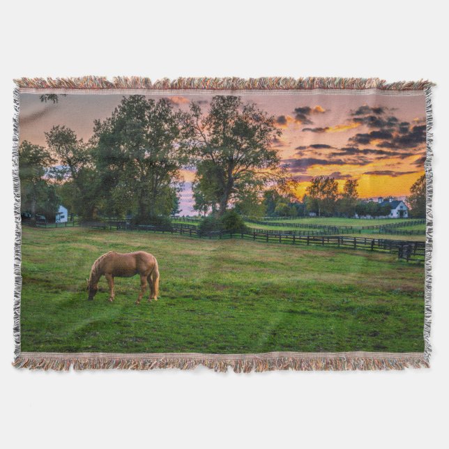 USA, Lexington, Kentucky. Lone horse at sunset Throw Blanket (Front)