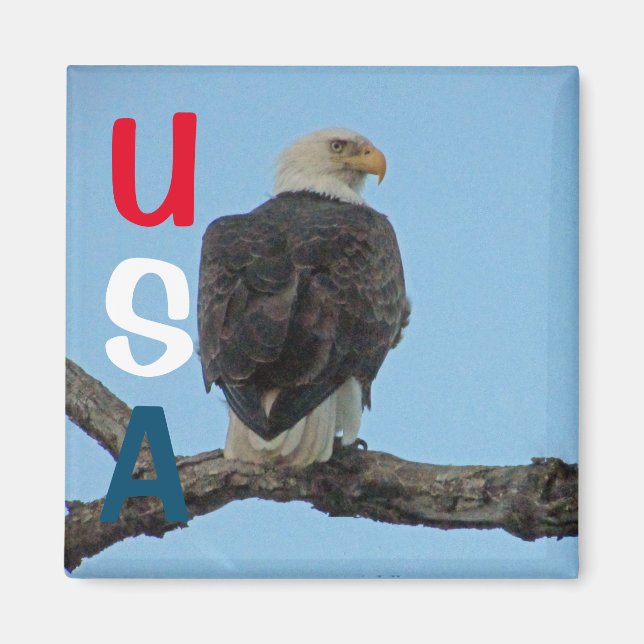 USA MAGNET (Front)