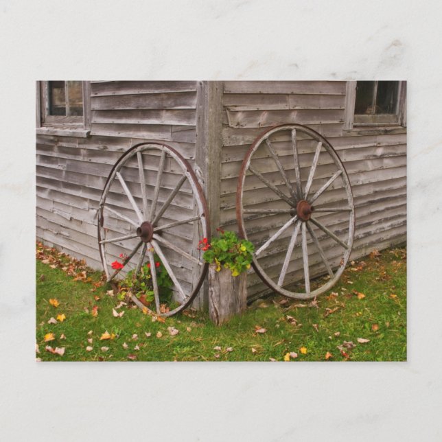 USA, Main. Wagon Wheels Postcard (Front)