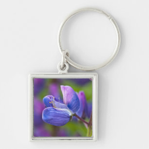 USA, Maine, Acadia National Park. Close-up of Key Ring