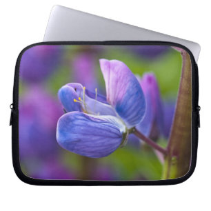 USA, Maine, Acadia National Park. Close-up of Laptop Sleeve