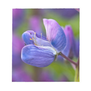 USA, Maine, Acadia National Park. Close-up of Notepad