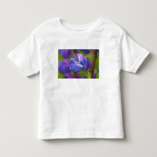 USA, Maine, Acadia National Park. Close-up of Toddler T-Shirt
