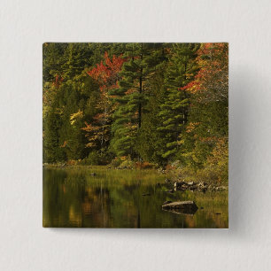 USA; Maine; Acadia NP. Fall reflections at 2 15 Cm Square Badge
