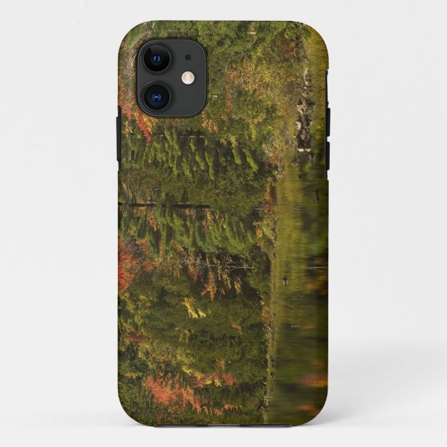 USA; Maine; Acadia NP. Fall reflections at 2 Case-Mate iPhone Case (Back)