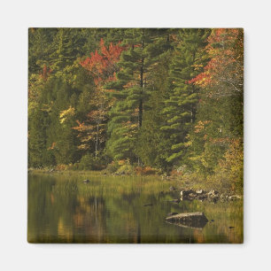 USA; Maine; Acadia NP. Fall reflections at 2 Magnet