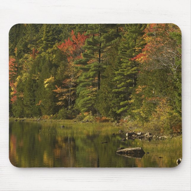 USA; Maine; Acadia NP. Fall reflections at 2 Mouse Pad (Front)