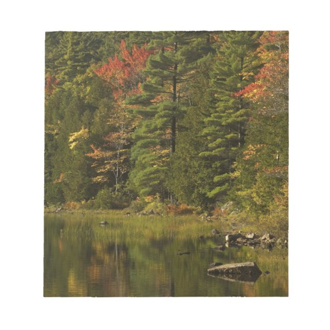 USA; Maine; Acadia NP. Fall reflections at 2 Notepad (Front)