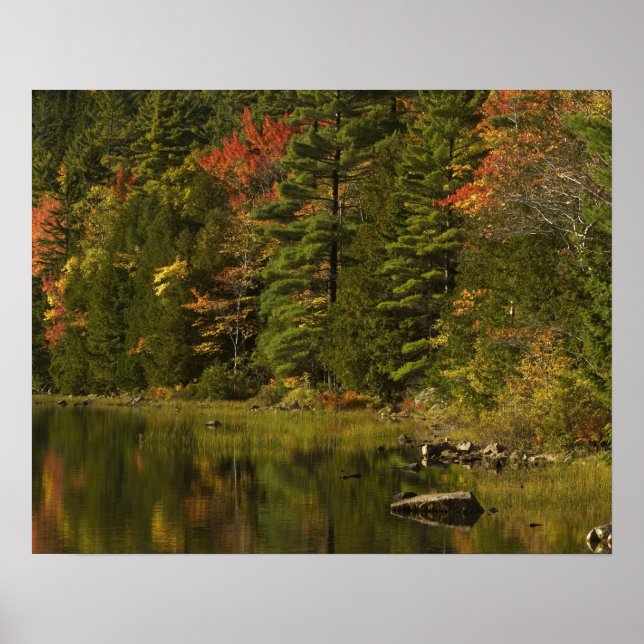 USA; Maine; Acadia NP. Fall reflections at 2 Poster (Front)