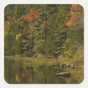 USA; Maine; Acadia NP. Fall reflections at 2 Square Sticker