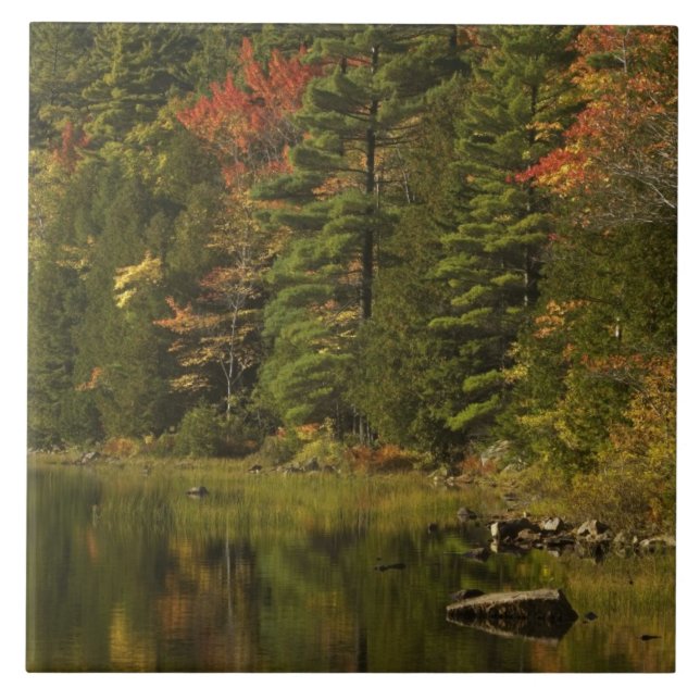 USA; Maine; Acadia NP. Fall reflections at 2 Tile (Front)