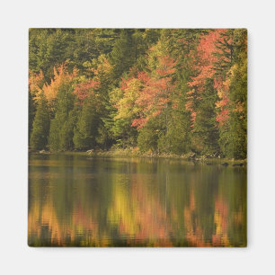 USA; Maine; Acadia NP. Fall reflections at Magnet
