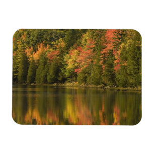 USA; Maine; Acadia NP. Fall reflections at Magnet