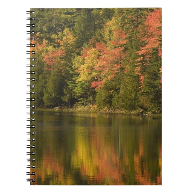 USA; Maine; Acadia NP. Fall reflections at Notebook (Front)