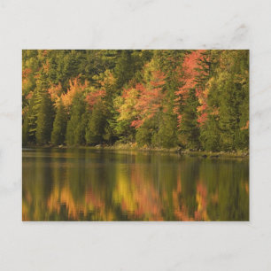 USA; Maine; Acadia NP. Fall reflections at Postcard