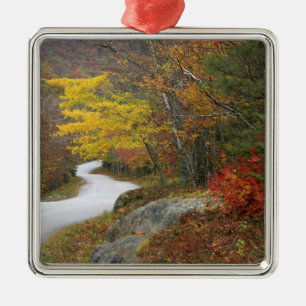 USA, Maine, Camden. Road leading through Camden Metal Ornament