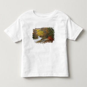 USA, Maine, Camden. Road leading through Camden Toddler T-Shirt