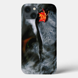 USA, Maine. Maple leaf on black rock in stream iPhone 13 Case