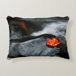 USA, Maine. Maple leaf on black rock in stream Decorative Cushion